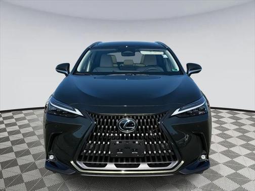 2025 Lexus NX 450h+ Luxury