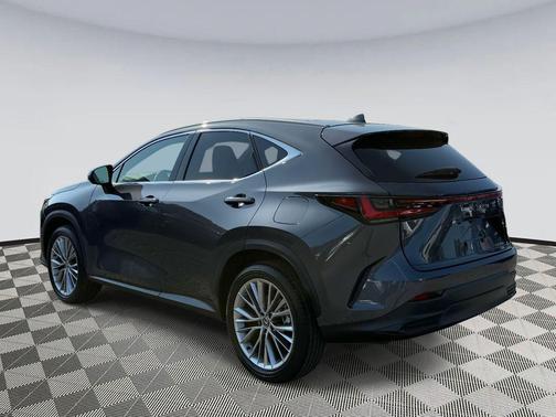 2025 Lexus NX 350 Luxury