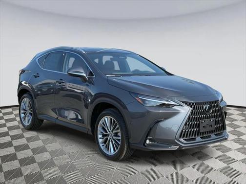 2025 Lexus NX 350 Luxury