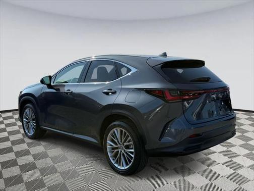 2025 Lexus NX 350 Luxury