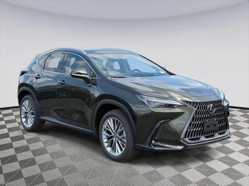 2025 Lexus NX 350 Luxury