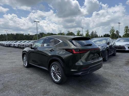 2025 Lexus NX 350 Luxury