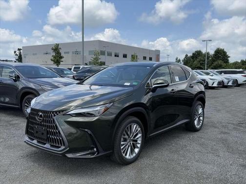 2025 Lexus NX 350 Luxury