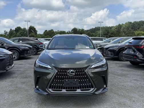2025 Lexus NX 350 Luxury