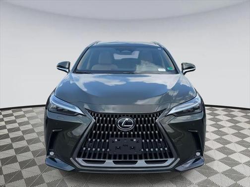 2025 Lexus NX 350 Luxury