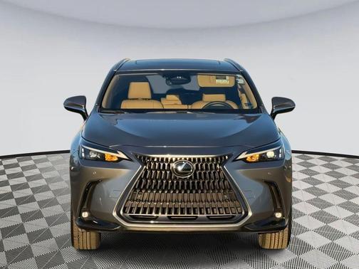 2023 Lexus NX 350 Premium
