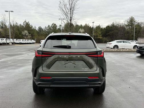 Nori Green Pearl 2023 Lexus NX 350 Premium