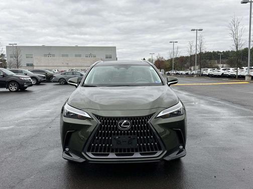 Nori Green Pearl 2023 Lexus NX 350 Premium