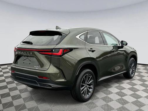 Nori Green Pearl 2023 Lexus NX 350 Premium