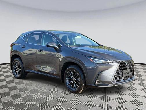 Cloudburst Gray 2023 Lexus NX 350 Premium