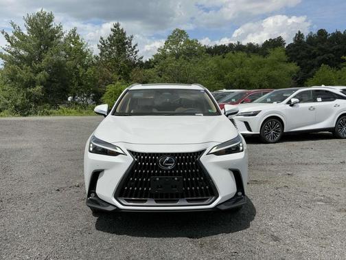 2025 Lexus NX 350h Premium