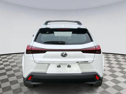 2025 Lexus UX 300h Premium