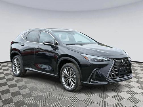 2025 Lexus NX 350h Premium