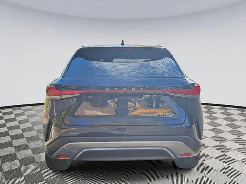 2025 Lexus RX 350 Luxury