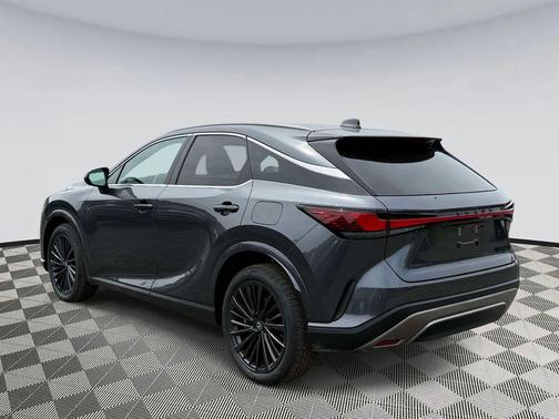 Cloudburst Gray 2026 Lexus RX 350 Premium