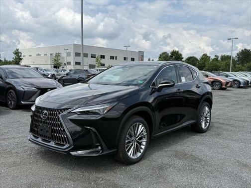 2025 Lexus NX 350 Luxury
