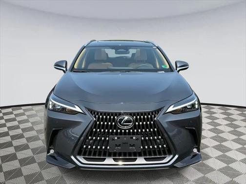 2025 Lexus NX 350 Premium