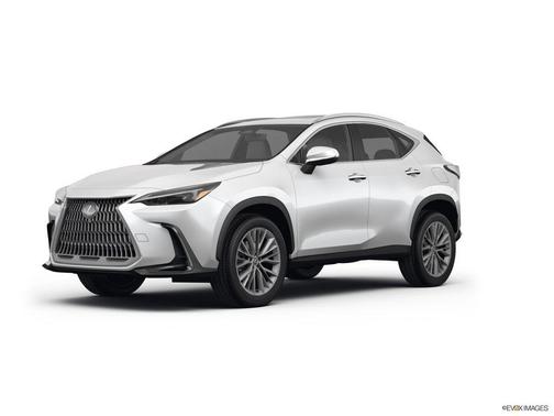 2025 Lexus NX 350 Premium