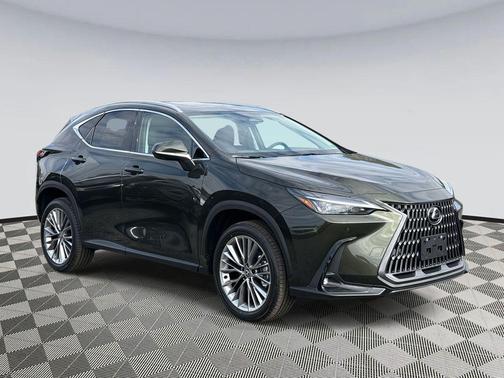 2025 Lexus NX 350 Premium