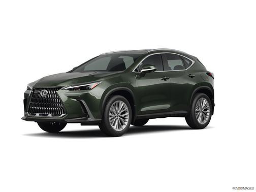 2025 Lexus NX 350 Premium