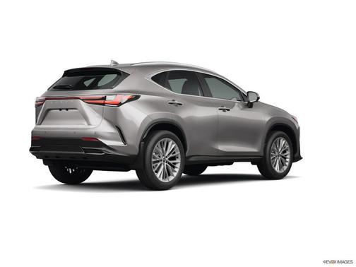 2025 Lexus NX 350 Base