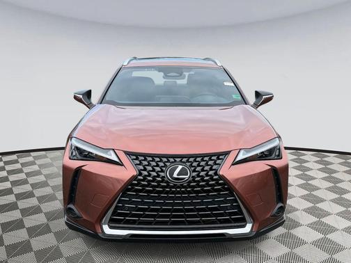 2025 Lexus UX 300h Premium