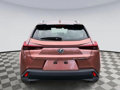 2025 Lexus UX 300h Premium