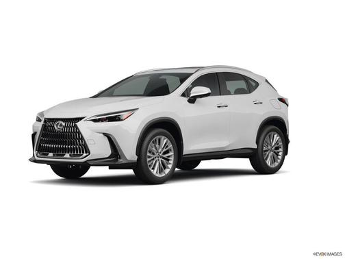 2025 Lexus NX 350 Base