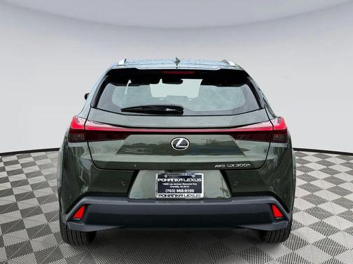 Nori Green Pearl 2025 Lexus UX 300h Premium