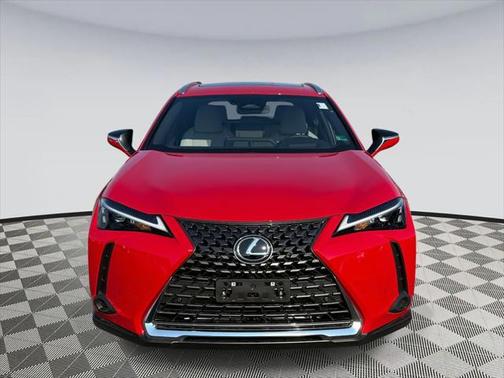 2025 Lexus UX 300h Premium