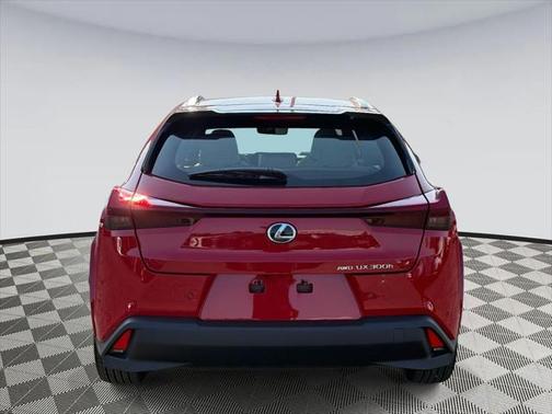 2025 Lexus UX 300h Premium