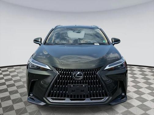 2025 Lexus NX 350 Base