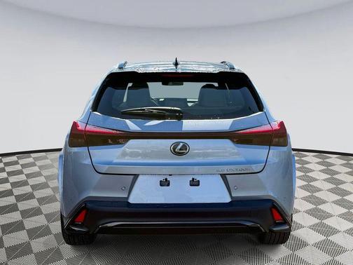 Bi-tone Paint 2026 Lexus UX 300h F SPORT Design