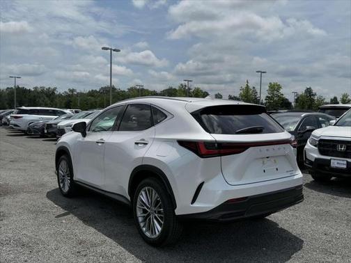 2025 Lexus NX 350h Premium