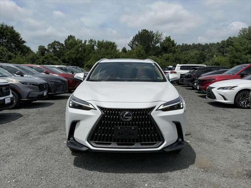 2025 Lexus NX 350h Premium