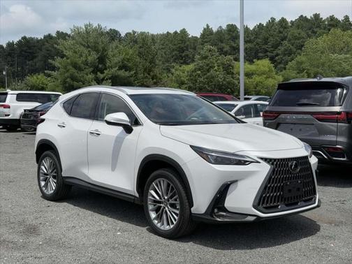 2025 Lexus NX 350h Premium