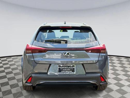 Cloudburst Gray w/Obsidian Roof 2026 Lexus UX 300h F SPORT Design