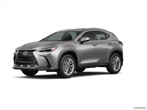 2025 Lexus NX 350 Base