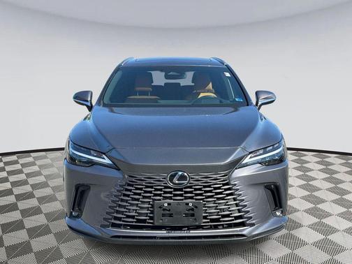 Nebula Gray Pearl 2023 Lexus RX 350 Premium Plus
