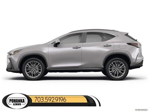 2025 Lexus NX 350 Base