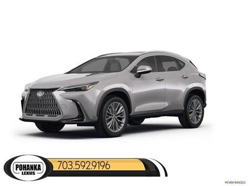 2025 Lexus NX 350 Base
