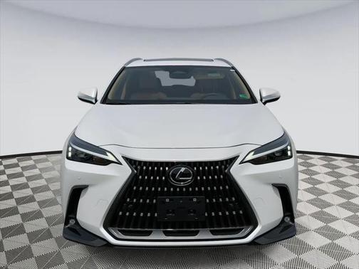 2025 Lexus NX 350 Premium