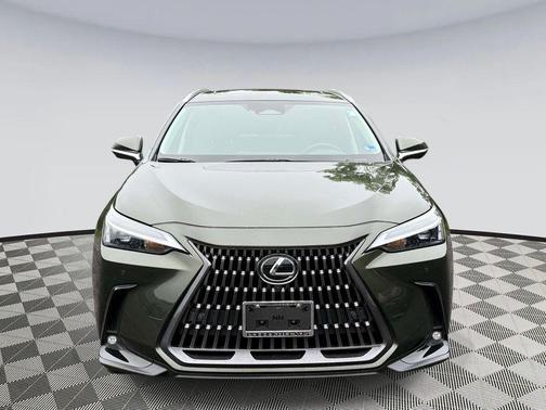 Nori Green Pearl 2025 Lexus NX 350 Premium