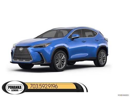 2025 Lexus NX 350 Premium