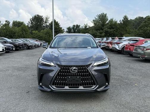 2025 Lexus NX 350 Luxury