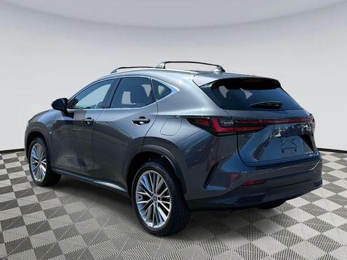2023 Lexus NX 350h Luxury