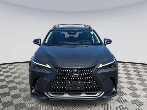 2023 Lexus NX 350h Luxury