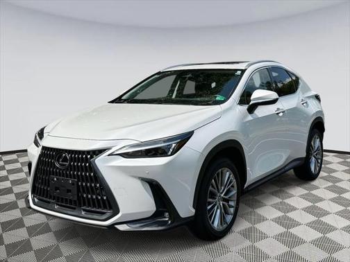 2025 Lexus NX 350 Premium
