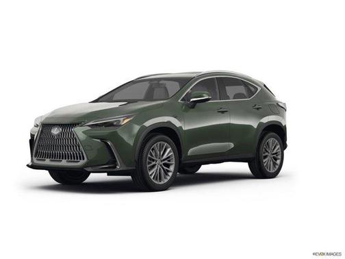 2025 Lexus NX 350 Premium