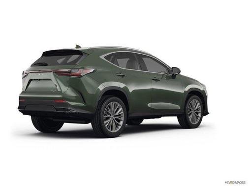 2025 Lexus NX 350 Premium